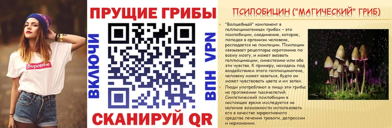 Псилоцибиновые грибы Magic Shrooms  Рошаль 